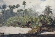 Winslow Homer In a Florida Jungle (mk44) Spain oil painting artist